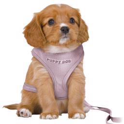 Trixie Puppies Starter Set Med Sele & Lina LILA Medium/Large